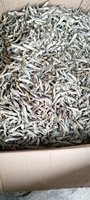 Produit en forte demande Gros poisson anchois séché Fruits de mer de qualité supérieure et coût extrêmement bas-ANNA DO W.A + 84 982153058