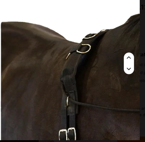 Cinturón de Montar de Cuero Negro Resistente para Caballos - Uso Ecuestre - Product Image 2