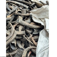 Vente de corne crue de vache au boeuf crue bon marché pour remplacer la corne de rhinocéros dans le traitement de l'hyperthermie/corne de buffle en vrac