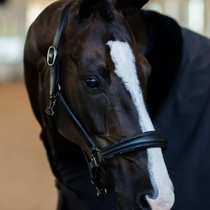 Bride cheval en cuir de style anglais avec licou idéal pour une utilisation en extérieur fabriqué à la main avec précision en utilisant des matériaux de qualité supérieure - Product Image 2