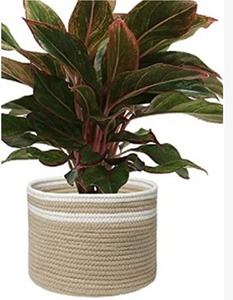 Panier et jardinière de rangement circulaire flexible en coton tressé, écologique et moderne - Product Image 2