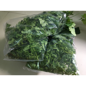 Annona Glabra seca de alta calidad de Vietnam, producto agrícola de primera calidad a la venta - Product Image 5