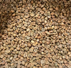 HANCOFFEE NOUVELLE RÉCOLTE Grains de café vert Robusta du Vietnam - Prix de gros le plus bas - Emballés en sacs de 60 kg/ Sac PP/ Sac en jute - Product Image 1