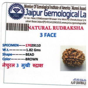 Perles en bois de Rudraksha de 1,82 carat, produit de qualité supérieure - Product Image 4