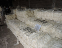 Fibre de sisal brute en mèche pour le filage, les tissus non tissés et le matériau de remplissage pour béton, écologique, longueur 110-130 cm