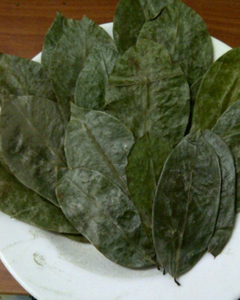 TÉ DE HOJA DE GUANÁBANA ORGÁNICA / EXPORTACIÓN DE VIETNAM - Product Image 4