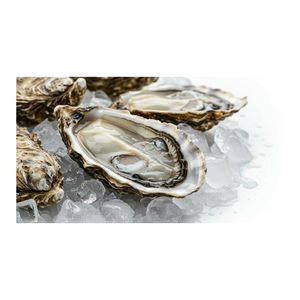 เนื้อหอยนางรมญี่ปุ่นขายส่ง เนื้อสัมผัสเกรดส่งออก สดใหม่ - Product Image 3