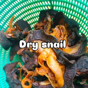 Organic Dried Snail Meat from Cameroon For Soup Stew & Export bulk dried snails for sale large dried African snail meat - Product Image 1
