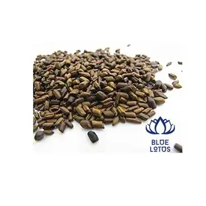 Semillas de Cassia Tora, el mejor precio para té de semilla de Casia
