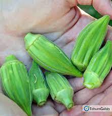150 pezzi semi di tipo lungo Hobby balcone Okra Adana semi di gombo nativi regalo a sorpresa - Product Image 2