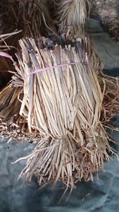 Jacinthe d'eau brute naturelle: Jacinthe d'eau brute pour décor fait main, en vrac, écologique, de haute qualité, prête à l'exportation depuis le Vietnam - Product Image 4