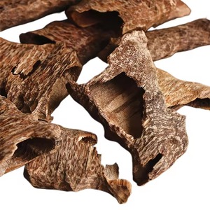 HIGH-QUALITY <b>AGARWOOD</b> POWDER / BEST FOR <b>INCENSE</b> / PURE and NATURAL / MADE IN VIETNAM - Product Image 5