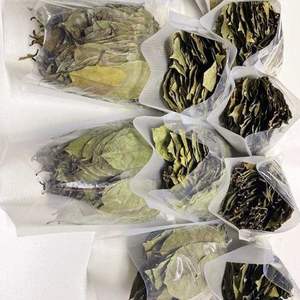 ใบฝรั่งแห้ง ใบกราเวียโลล่า ใบฝรั่งแห้งธรรมชาติ-ใบฝรั่งแห้งออร์แกนิคธรรมชาติ-ใบอันโนน่า มูริคาต้าแห้ง - Product Image 5