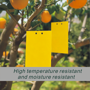 Contrôle des nuisibles ODM OEM, gel adhésif jaune double face hautement adhésif, plastique écologique, livraison rapide, spectre pour serre - Product Image 3