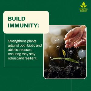 MagicGro Super Plant Protection Powder para Uvas - Product Image 5