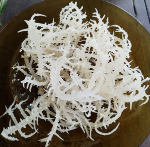 Venta caliente 100% Musgo de mar orgánico seco y recién empaquetado en bolsa de Vietnam Precio rico en nutrientes por La Sra. Joy - Product Image 4