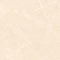 Carreaux aspect marbre en 120X120cm Carreaux de porcelaine en surface brillante en carreaux "Blanche Neige" pour Hall par Novac Ceramic India