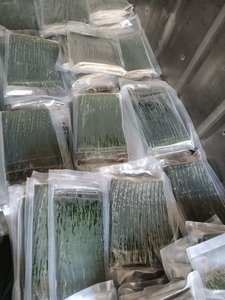 ใบกล้วย - ใบกล้วย วัสดุบรรจุภัณฑ์อาหารตามธรรมชาติและเป็นมิตรกับสิ่งแวดล้อม ราคาถูก - Product Image 3