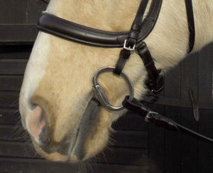 Bride à langer anatomique brevetée pour cheval en épi complet rembourré Cutback Poll Relief en cuir marron noir Design anatomique - Product Image 5