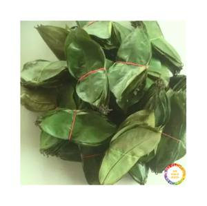 Produit populaire Feuille de Corossol séchée/Feuilles de Graviola Prix bon marché Herbes biologiques Premium avec logo d'emballage personnalisé - Product Image 3