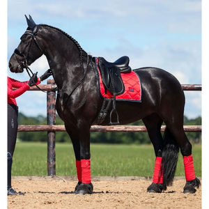 Almohadilla de sillín de Polo hecha en Pakistán de alta calidad para carreras de caballos, estilo y tamaño personalizados a precio asequible, almohadilla de sillín de Polo - Product Image 3