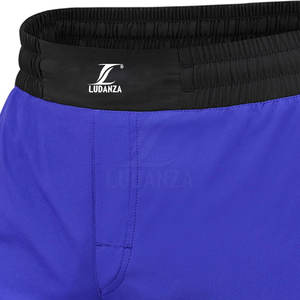 Pantalones cortos ligeros y transpirables para artes marciales, último diseño al por mayor, logotipo personalizado, MMA - Product Image 6