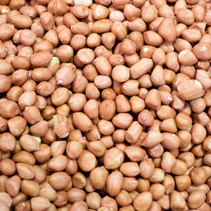 Tipo Java de clase mundial Mitades en concha Cacahuetes Extracción de aceite de 50/60 recuentos MOQ Disponible Larga vida útil a Rusia - Product Image 1