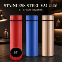 Bouteille isotherme intelligente en acier inoxydable de 500 ml avec affichage LED de la température, gourde portable, OEM ODM, vente en gros