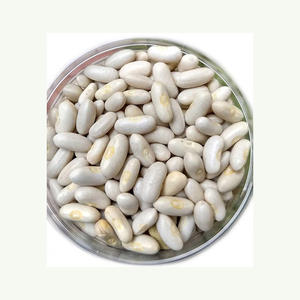 ถั่วไตขาวทรงยาวถั่วขาว - Product Image 5