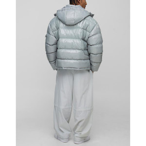 Veste d'hiver à bulles pour hommes, manteau chaud en peluche avec capuche, veste d'extérieur légère en duvet - Product Image 2