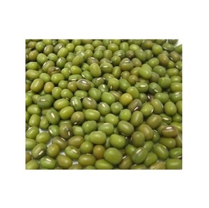 Proveedor Mayorista De Stock Fresco A Granel De Frijoles Mung Verdes/Frijoles Moong Enteros - Product Image 4