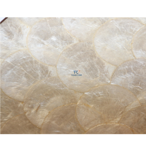 Venta al por mayor de manteles individuales Vintage de diseño caliente en Natural Capiz Pearl Shell manteles individuales de mesa Venta al por mayor - Product Image 5