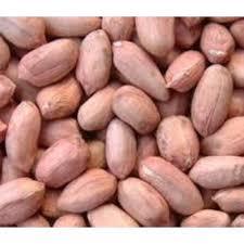 Cacahuetes Enteros Frescos de Primera Calidad Orgánica, Crujientes, Secos, Naturales, Refrigerio, Alto en Proteínas, Sin Gluten, Sin OMG, Suministro a Granel - Product Image 3