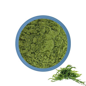 Natural Wellness Ingredient Green Seaweed Powder Plant Based Superfood For <strong>Immunity</strong> Boosting And Energy Drinks - Product Image 4