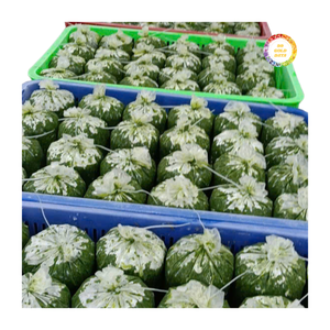 Feuilles de manioc congelées IQF biologiques prêtes à l'exportation en vrac pour les acheteurs B2B – Qualité supérieure, manipulation propre et transport congelé - Product Image 2