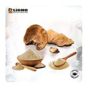 LiGNO SH02 Sang Huang Extract Malaysia Functional <b>Health</b> Energy <b>Supplement</b> GMP Certified OEM ODM Ready Natural Powder - Product Image 1
