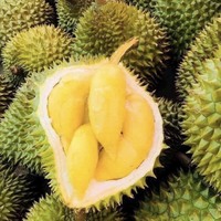 Vietnam Verse Durian Type Monthong Durian Ri6 Durian Premium Kwaliteit Beste Prijs 84931442377