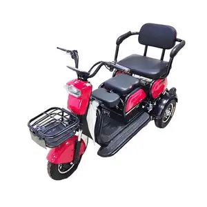 Factory Direct Sale Taxi Ebike Bike Lithium Battery Easy Seater Two Passenger Scooter Taiwan Part Electric Tricycle
