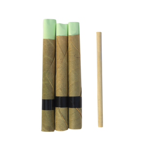 Superbros Tendu Leaves Pre <b>Rolls</b> Herbal Cones and Wraps at Wholesale Price - Product Image 1