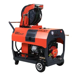 250bar 22lpm factory direct high quality gasoline pressure washer for stain removal