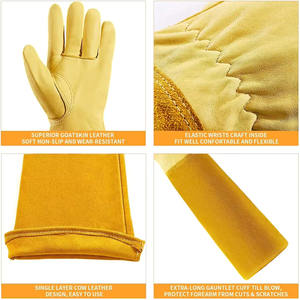 Gants de jardinage nouveau design Gants de jardinage personnalisés très résistants - Product Image 4