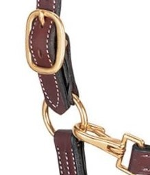 HALTER CUIR DOUX RÉGLABLE EN CUIR VÉRITABLE CHEVAL HALTER QUINCAILLERIE EN ACIER INOXYDABLE - Product Image 5