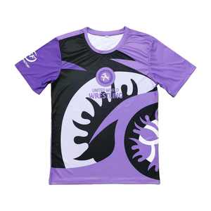 Conjunto de Lucha de Verano 2025 Personalizado para Hombre, Transpirable, de Punto, Camisetas + Pantalones Cortos, Impresión Serigráfica, Conjunto de 2 Piezas, Internacional - Product Image 3