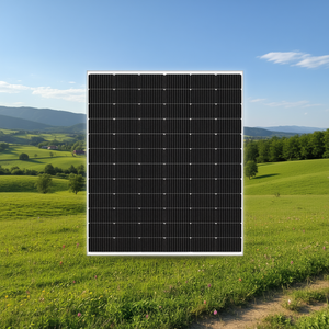Panneau solaire Topsky Energy RSM110-8-555BMDG - Product Image 3
