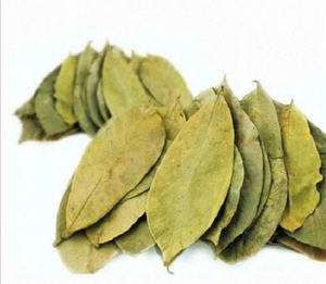 De la ferme au conteneur: poudre de feuilles de corossol frais du Vietnam - Product Image 2