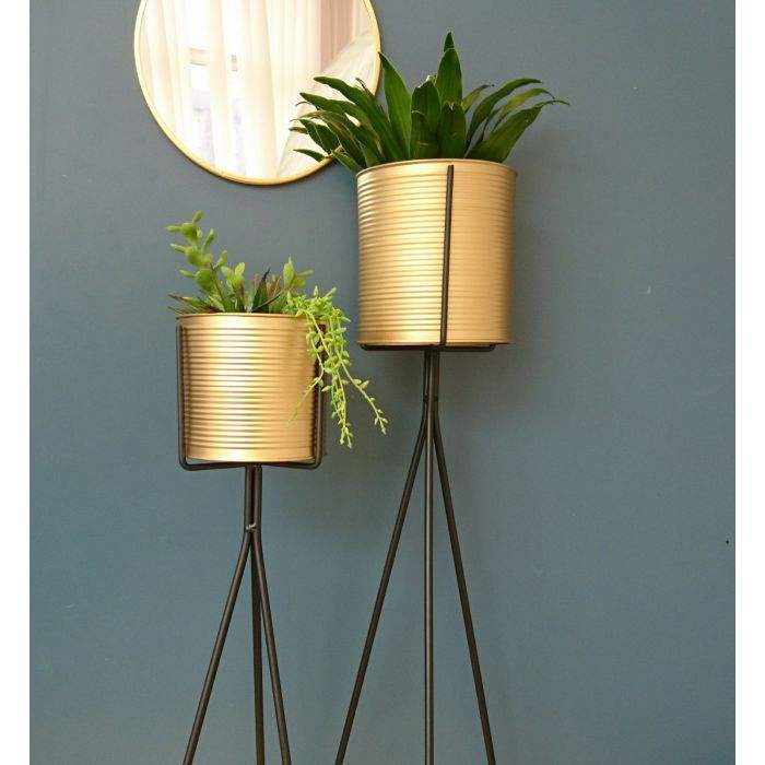 ปรับแต่ง