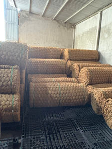 Commande en gros disponible Tapis en fibre de coco du Vietnam produit pour les acheteurs mondiaux à la recherche d'une qualité fiable et d'un prix attractif - Product Image 4