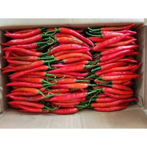 Chili fresco de alta calidad de proveedor de Vietnam con embalaje flexible y precios asequibles - Product Image 2