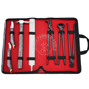 Kit de Herramientas de Herrador al por Mayor, Cuchillo de Bucle con Extremo de Latón, Martillo, Lima, Herramienta para Probar Cascos, Extractor, Alicates, Juego de Herramientas de Acero Inoxidable - Product Image 1