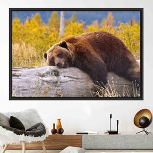 Toile imprimée : Art mural représentant un ours brun reposeur sur un rondin, 1P : encadré noir - Product Image 1